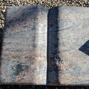 Nr. 342 Halmstad poleret
