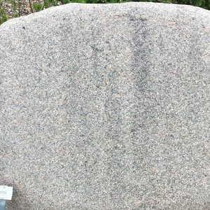 Nr. 349 Bohus grå brændt